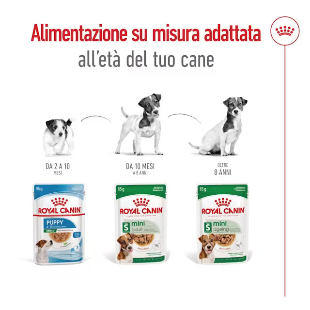 Royal Canin confezione multipla 12x85g bocconcini in salsa per cane adulto mini Royal Canin confezione multipla 12x85g bocconcini in salsa per cane adulto mini